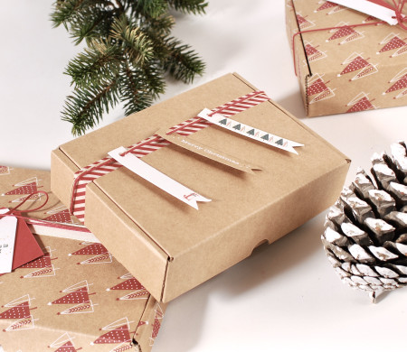 Boîte d'expédition avec décorations de Noël