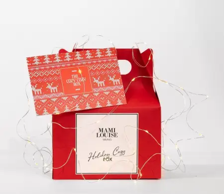 Boîte à pique-nique de Noël