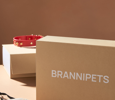Brannipets self-assembly rigid box with printing
