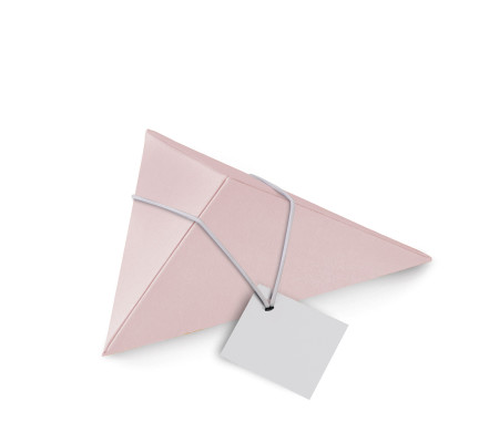 Originale Scatola Regalo Triangolare per Nozze ed Eventi