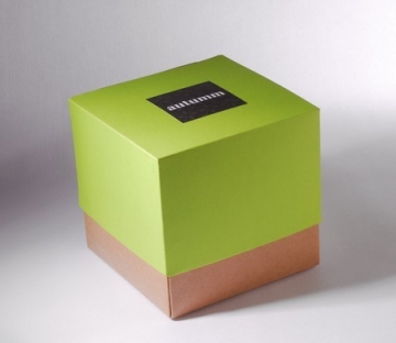 Green bicolour gift box