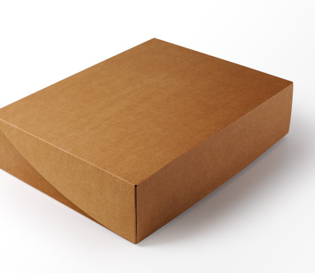 Scatole Cartone 25x10x15: Set 10 Pezzi, Mono Onda - Scatole Piccole Per Spedizioni, Imballaggio, E-commerce, Regali, Confezioni - JUSTFOLDME