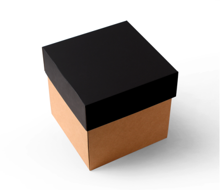 Shipping Box with Separate Lid
