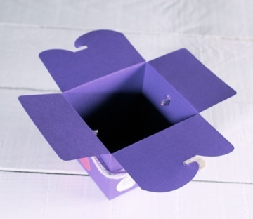 Purple noodle box