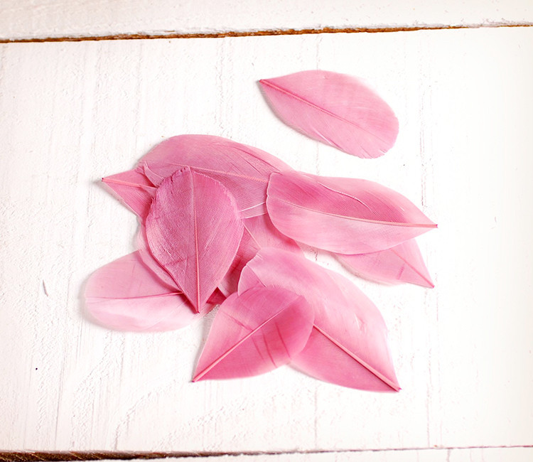 Feathers for handicrafts