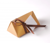 Simple triangular gift box