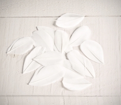 White feathers for handicrafts