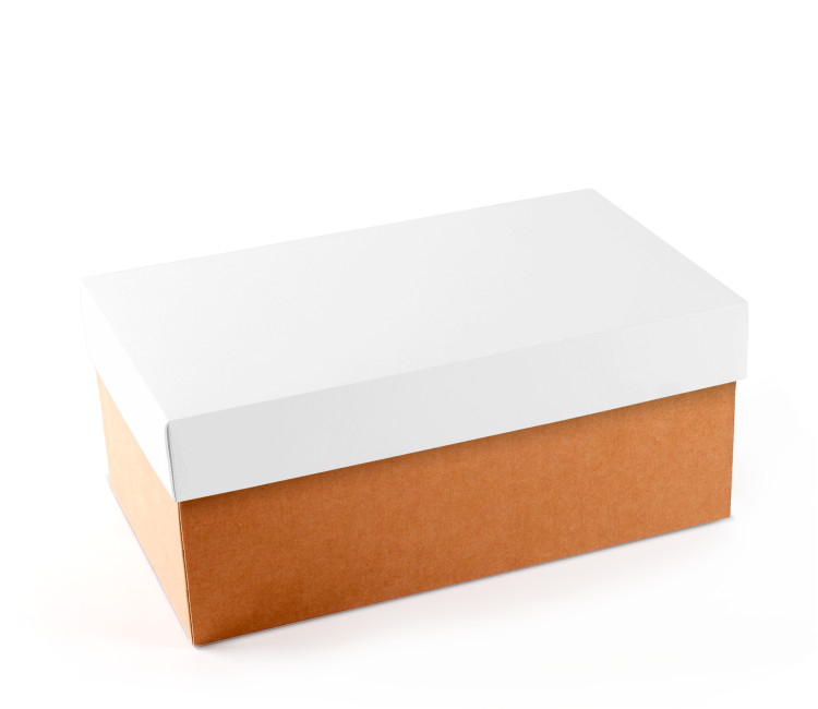 Karton Schuhkarton | SelfPackaging.