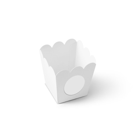Scatola da Pop Corn per Feste ed Eventi