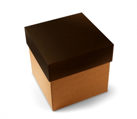 Shipping boxes with lid