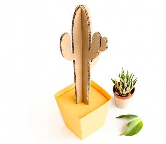 Cactus alto con maceta de colores 