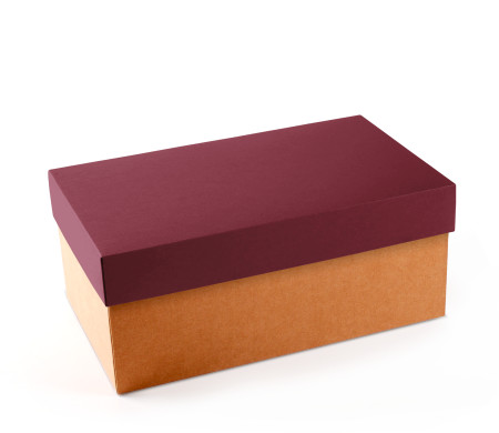 Caja para Zapatos ¡Organiza tu Calzado!