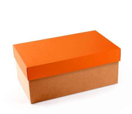 Caja para Zapatos ¡Organiza tu Calzado!