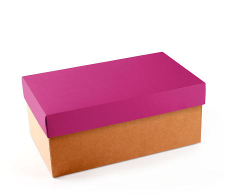 Caja para Zapatos ¡Organiza tu Calzado!