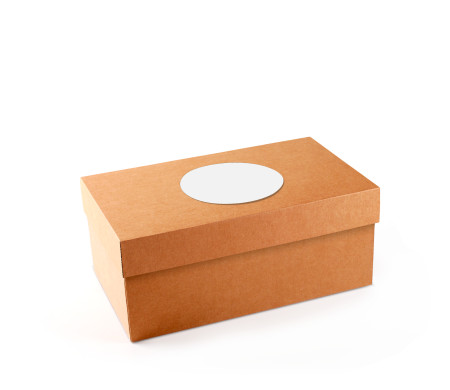 Caja para Zapatos ¡Organiza tu Calzado!