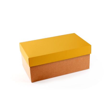 Caja para Zapatos ¡Organiza tu Calzado!