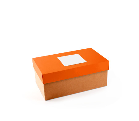 Caja para Zapatos ¡Organiza tu Calzado!