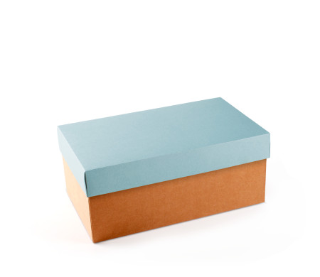 Caja para Zapatos ¡Organiza tu Calzado!