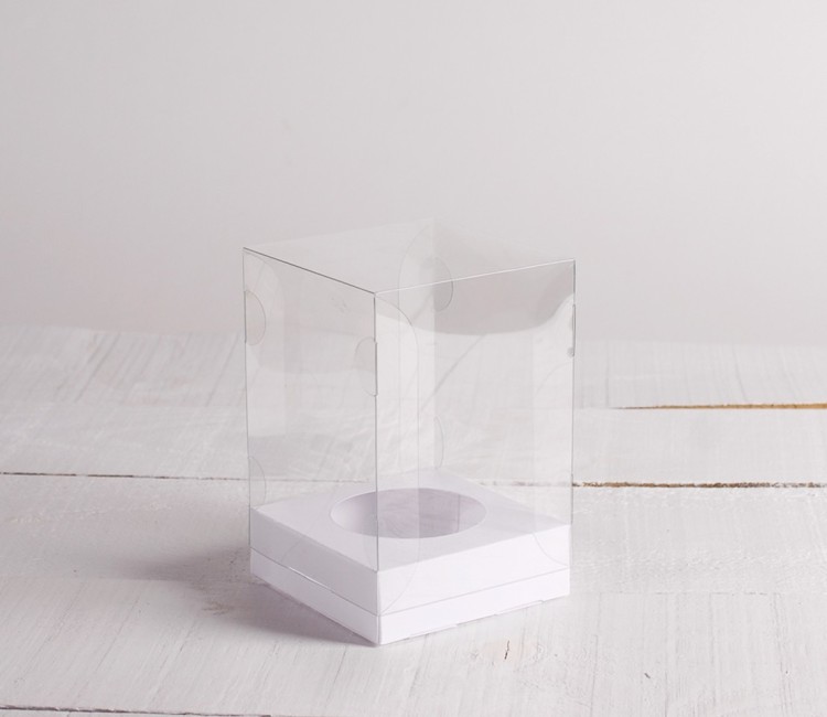 Clear boxes for an Easter egg Clear boxes for an Easter egg