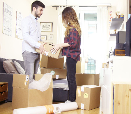 Kit 20 removal boxes