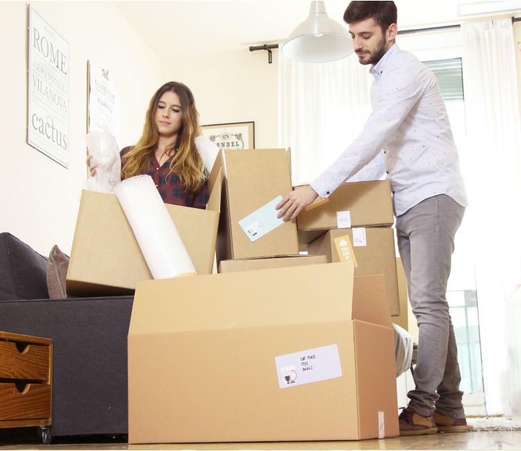 Kit Súper Grande con 30 Cajas para Mudanzas Kit Súper Grande con 30 Cajas para Mudanzas
