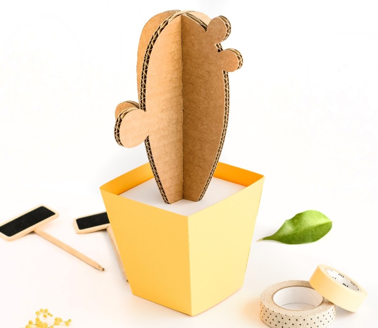 Cardboard Cactus, with Colourful Plant Pots!