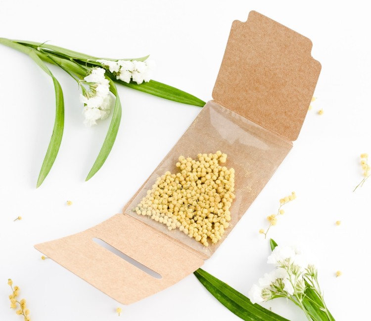 Seed Box for Guests Seed Box for Guests