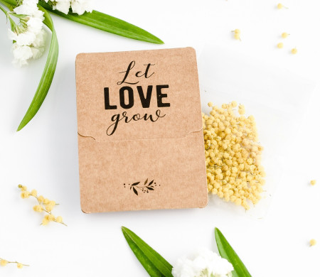 Cajita Semillas para Regalar a los Invitados 