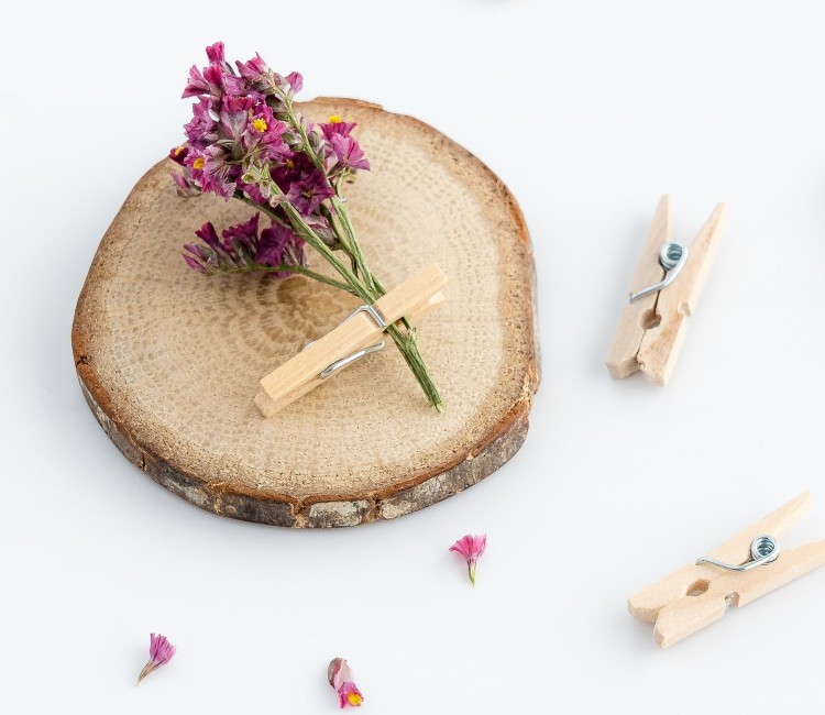 Pinces en bois mini Pinces en bois mini