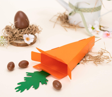 Scatola a Carota per Feste