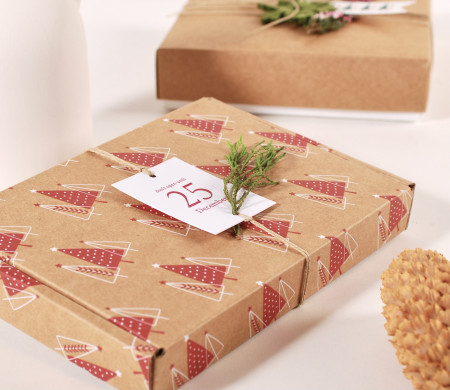 Boîtes d'expédition en carton imprimées de Noël Boîtes d'expédition en carton imprimées de Noël