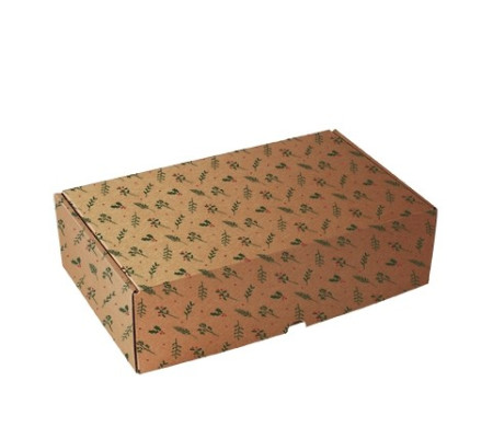 Rectangular self-assembly box for Christmas