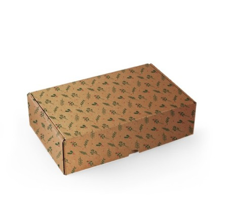 Rectangular self-assembly box for Christmas