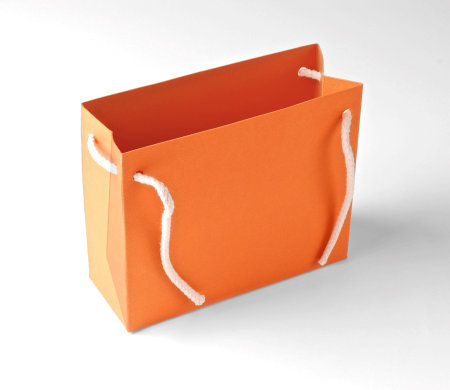 Paper Gift Bag with Cord