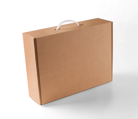 Carrying Case Box with Handle