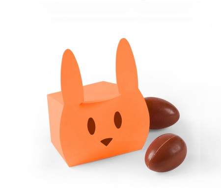 Caja de Cartón en Forma de Conejo Simpático