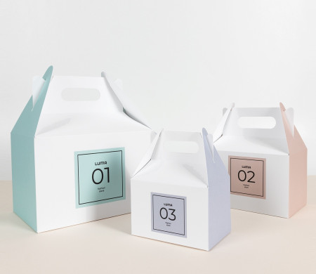 Cardboard Picnic Box for Gifts