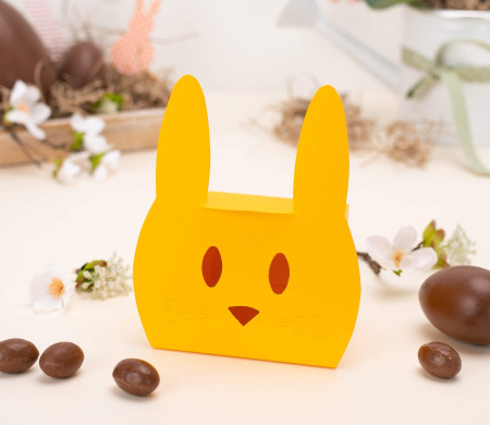 Cardboard Box Shaped like a Sweet Bunny