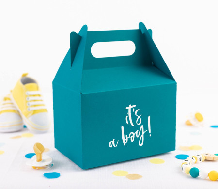 Boîte Pique-Nique en Carton pour Cadeaux