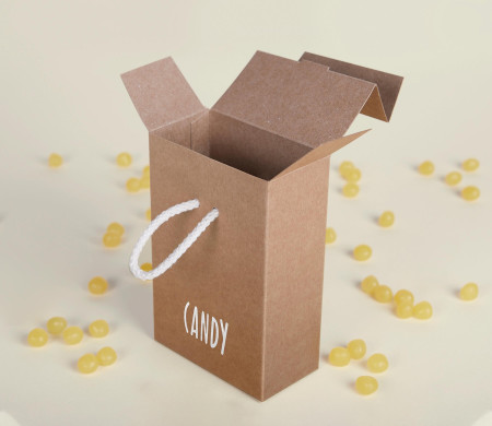 Boîte Cadeau en Carton avec Fermeture Originale