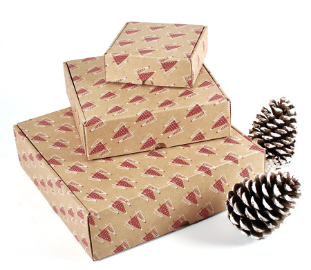 Boîte d'expédition avec motif de Noël