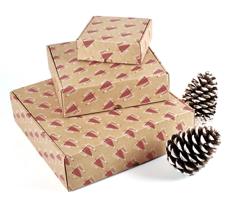 Shipping box with Christmas print