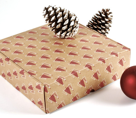 Caja de envío con estampado de Navidad