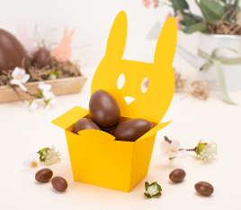Rabbit shaped gift box