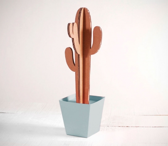 Tall cactus with a plant pot in several colours