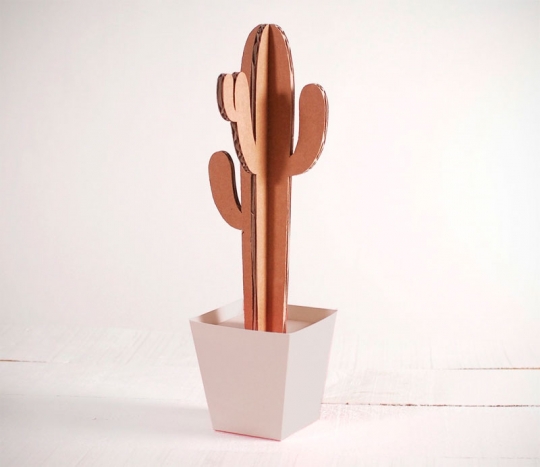 Tall cactus with a plant pot in several colours