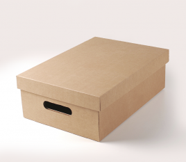 Schachtel aus Karton mit Deckel für Gemüse