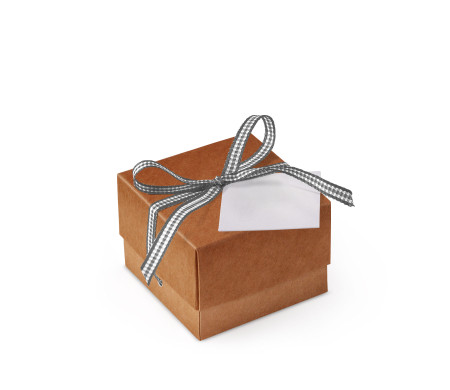 Bonita Caja Regalo con Tapa y Lazo Decorativo
