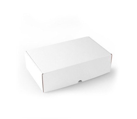 Caja Rectangular Automontable ¡Sin Pedido Mínimo!