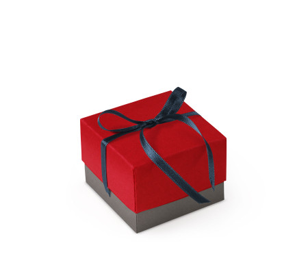 Graziosa Scatola Regalo con Coperchio e Fiocco Decorativo 